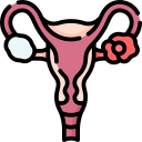 Gynecological Cancer